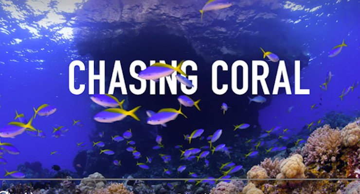 Documentales de Netflix sobre Animales Acuáticos - En busca del coral
